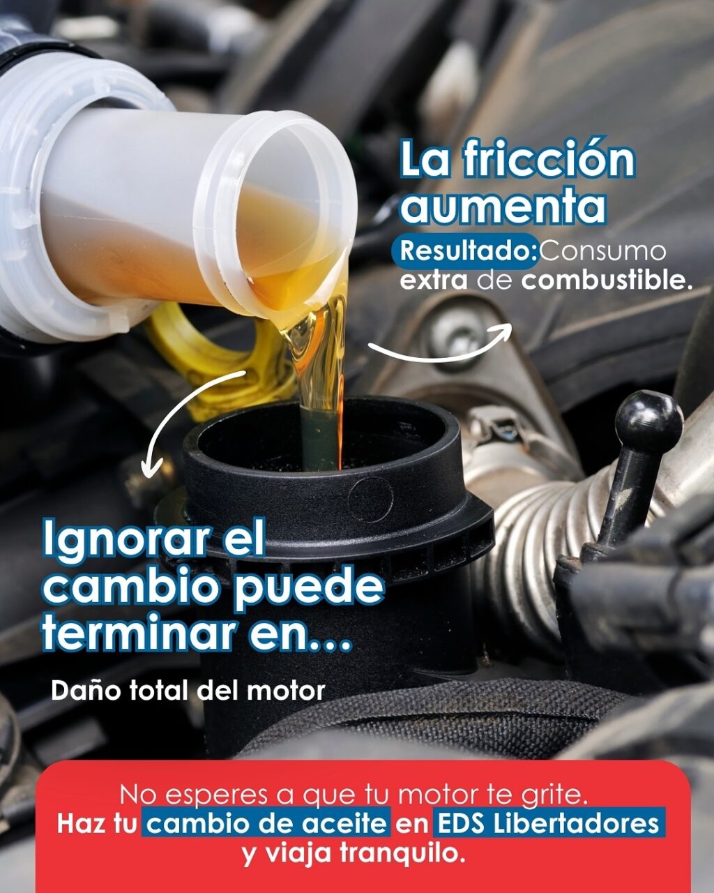 Instagram post from edslibertadores. This post is in position 2.