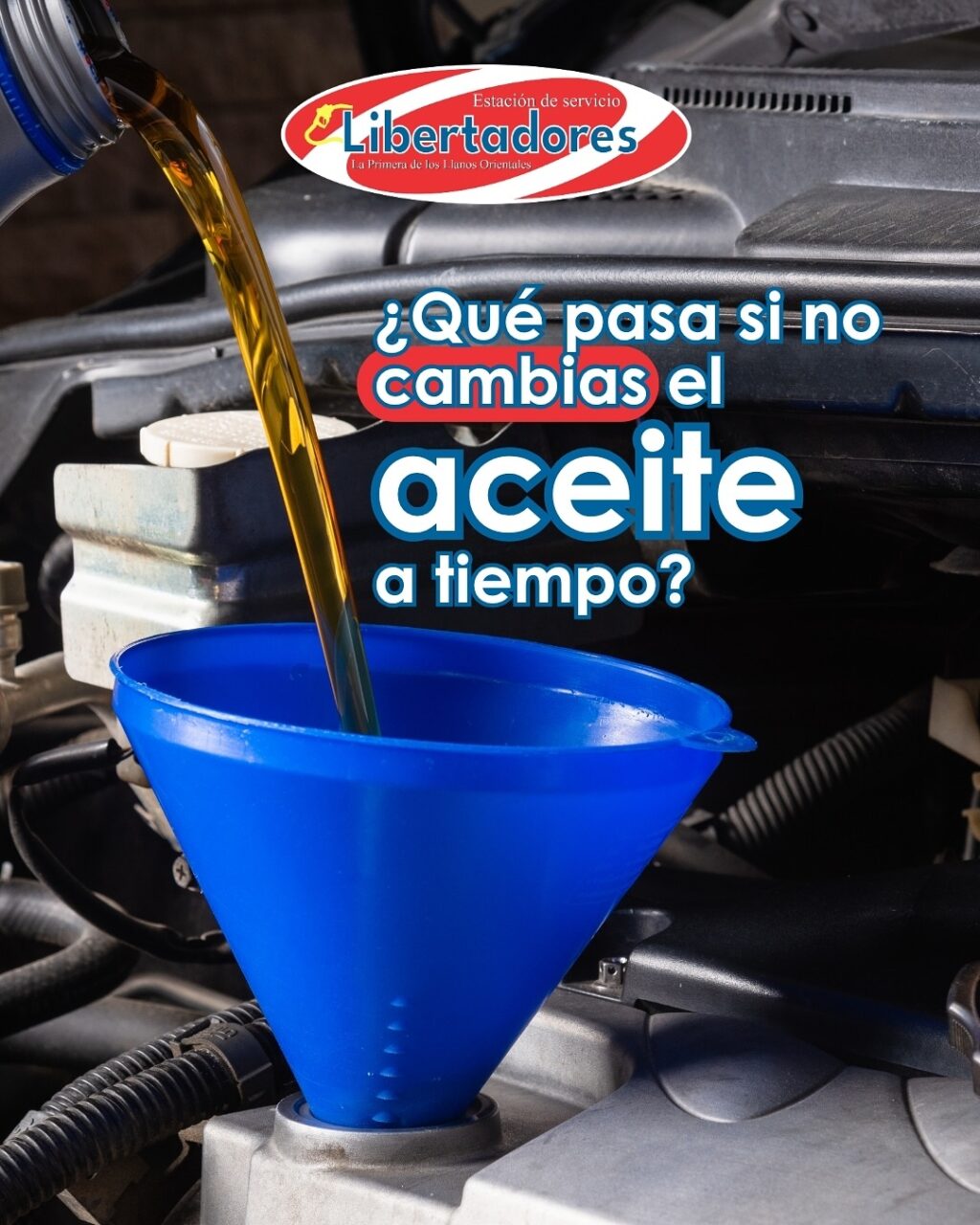 Instagram post from edslibertadores. This post is in position 0.