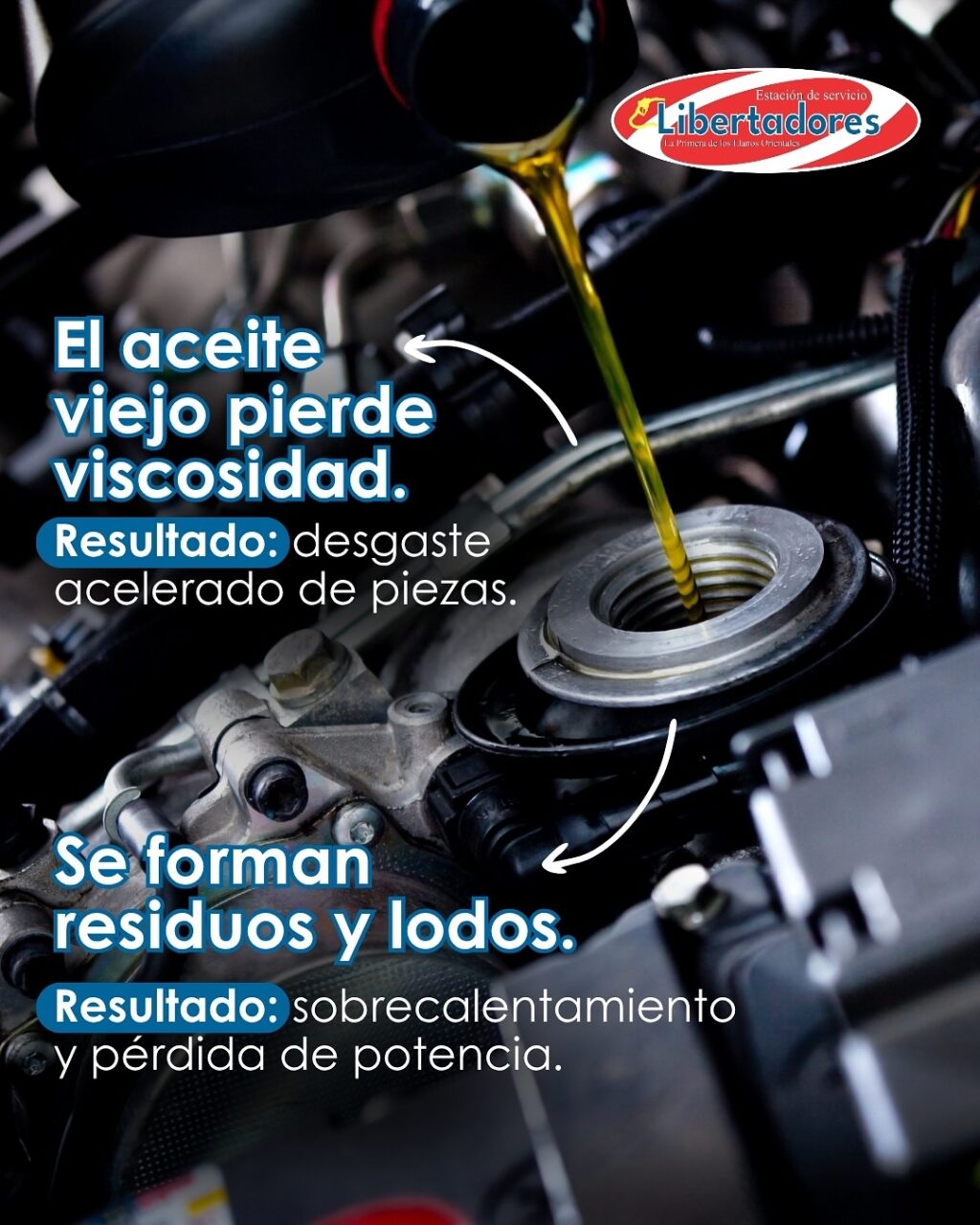 Instagram post from edslibertadores. This post is in position 1.